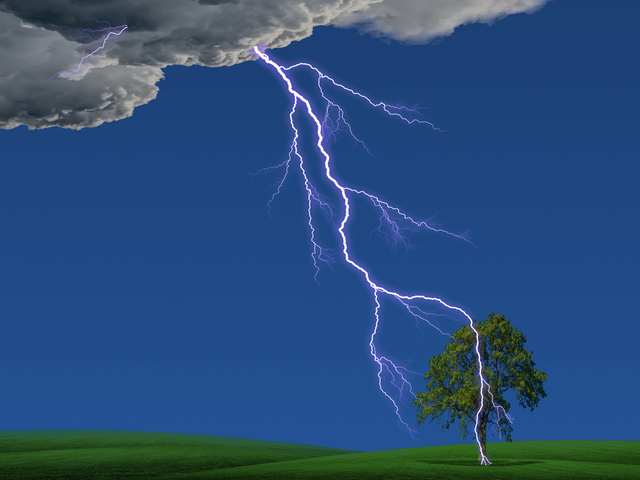 Lightning strike into the tree